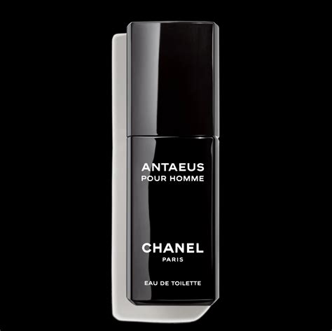 antaeus chanel 100ml prix|Chanel antaeus best price.